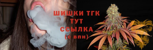 ПСИЛОЦИБИНОВЫЕ ГРИБЫ Кулебаки