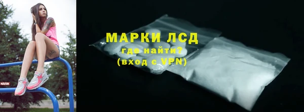ПСИЛОЦИБИНОВЫЕ ГРИБЫ Кулебаки