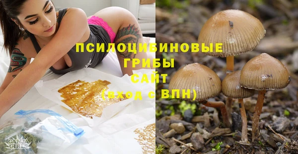 ПСИЛОЦИБИНОВЫЕ ГРИБЫ Кулебаки