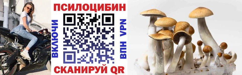 Псилоцибиновые грибы MAGIC MUSHROOMS  Купить  Ейск 